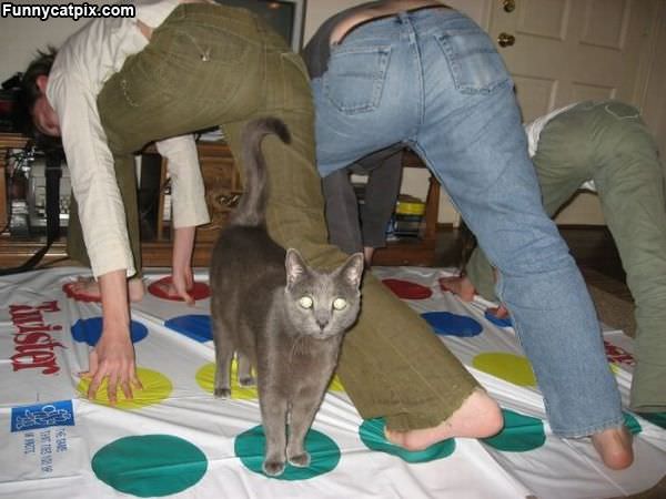 Twister