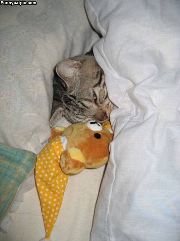 Under The Blankets