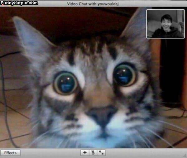 Video Chat