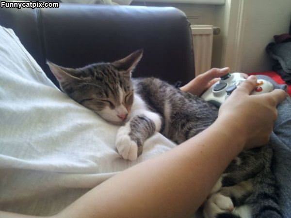Video Games Make Me Sleepy