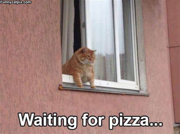 Waiting For Pizza