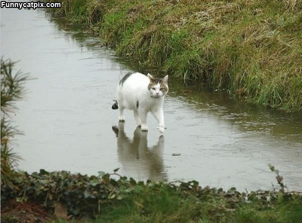 Walking On Water