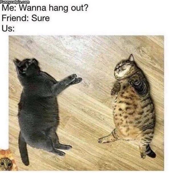 Wanna Hang Out