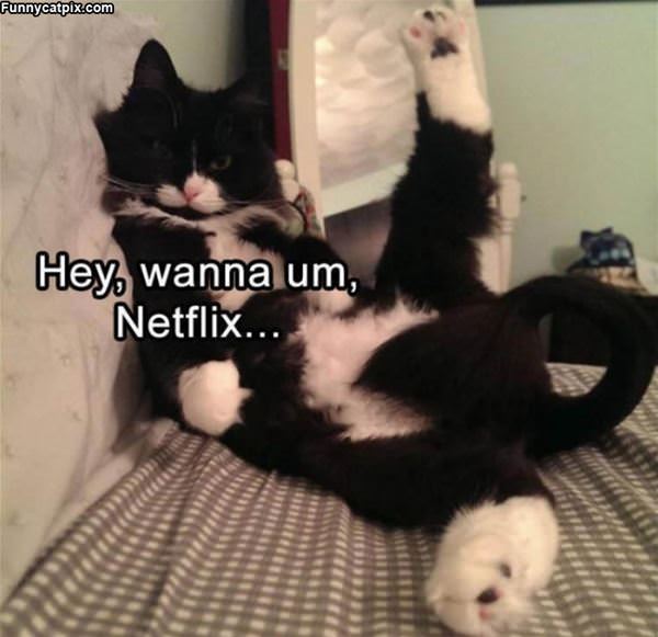 Wanna Netflix