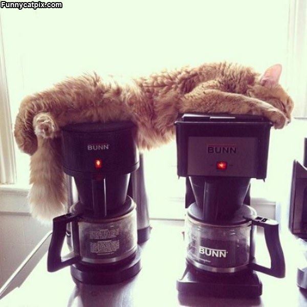 Warm Coffee Machines