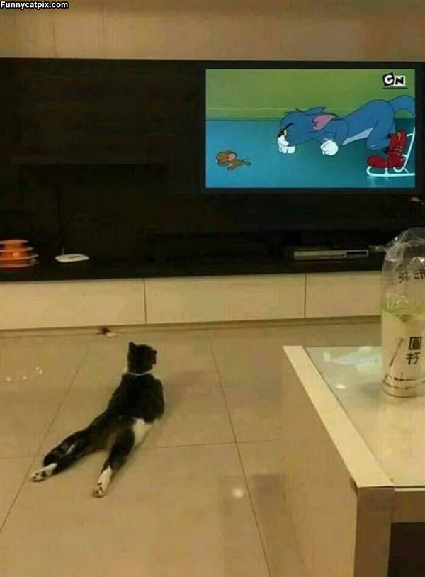 Watching Some Tom And Jerry