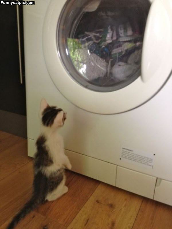 Watching The Laundry