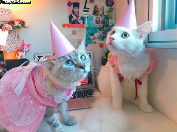 We Are At A Party