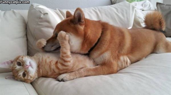 We Are Friends