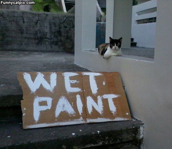 Wet Paint