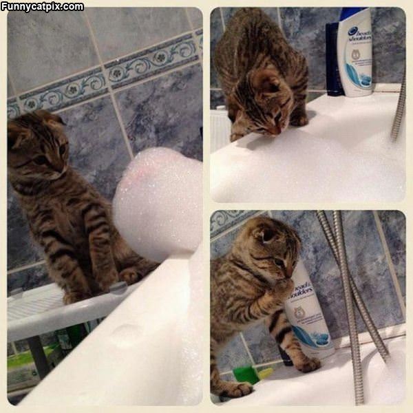 What To Do With Bubbles
