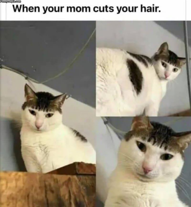 When Mom Cuts Your Hair