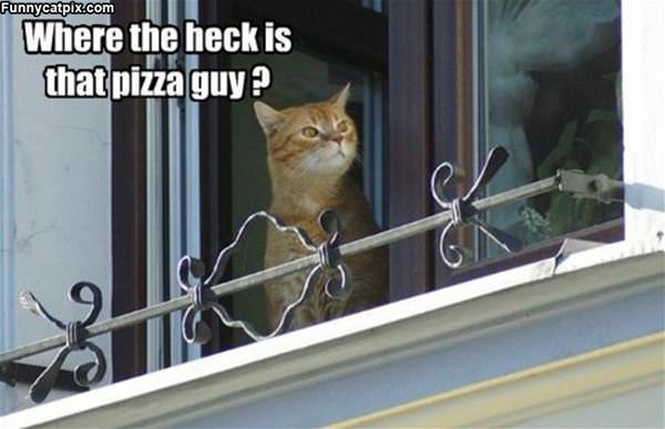 Where Is That Pizza Guy