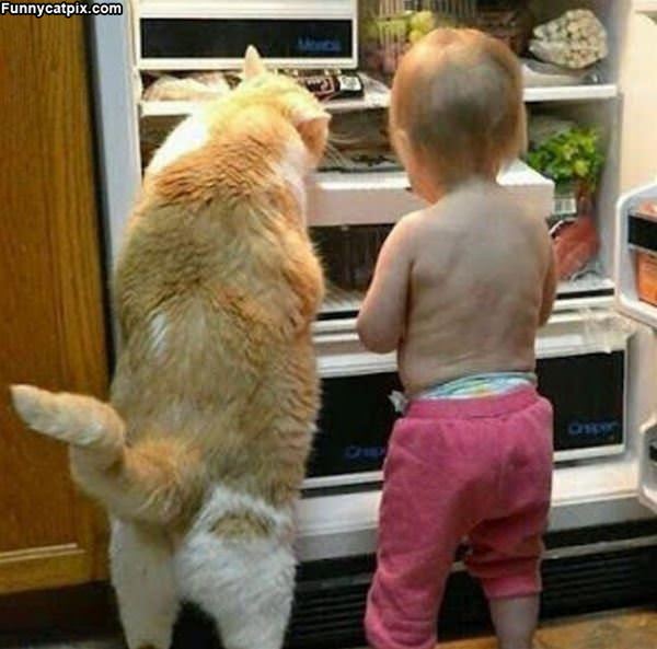 Where Is The Tuna