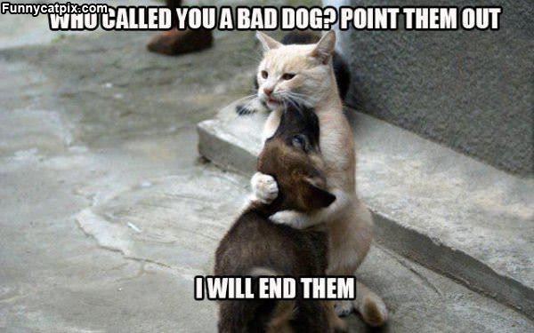 Who Called You A Bad Dog