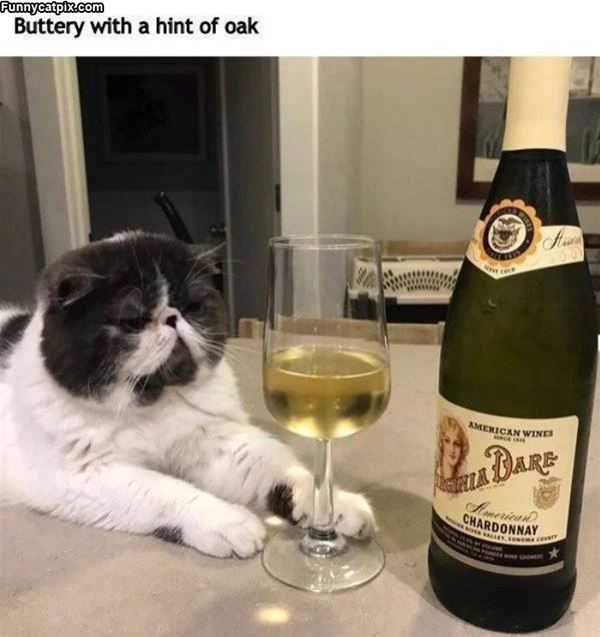 Wine Critic