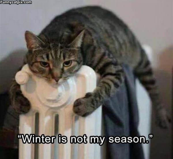 Winter Is Not My Season