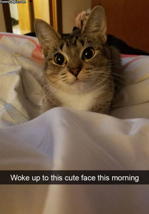 Woke Up To This Cute Face