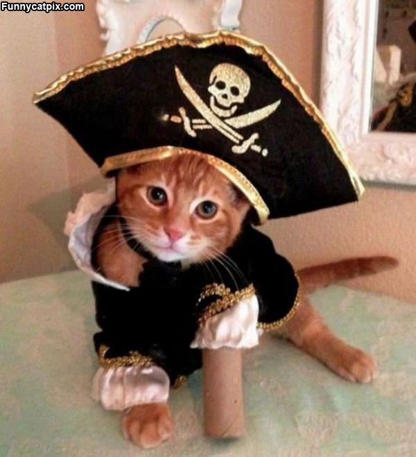Yarrrr I Iz A Pirate