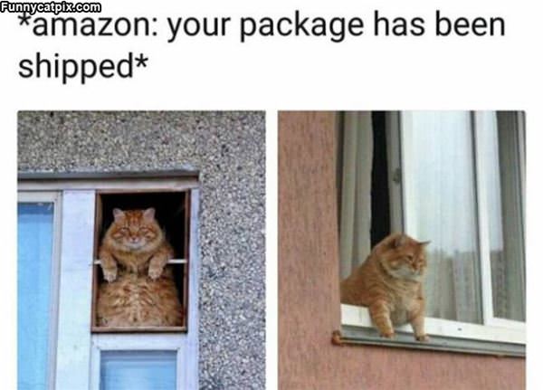 Your Package Has Been Shipped