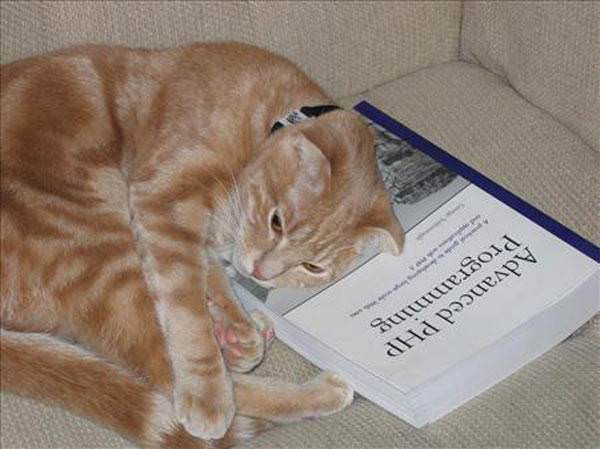 Advanced PHP Cat