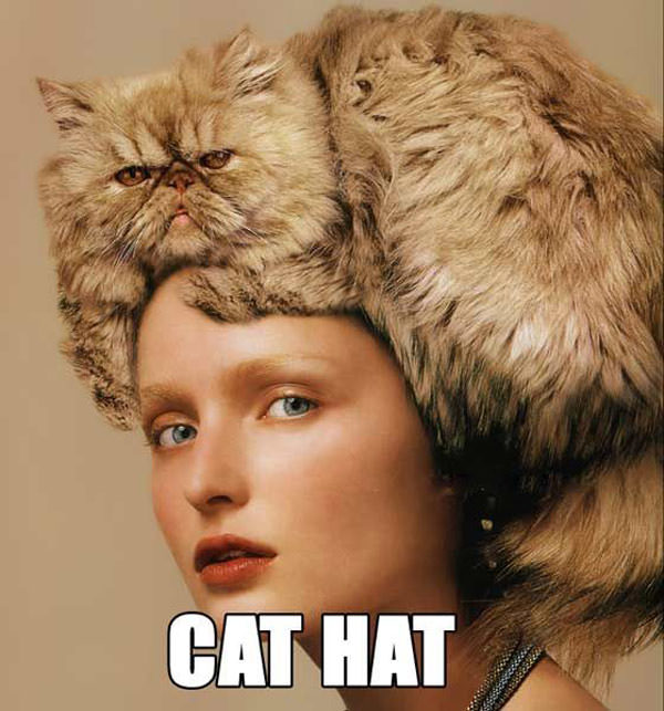 Cat Hat