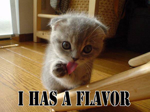 I Has a Flavor Cat