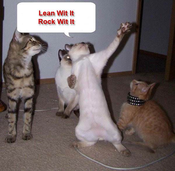 Lean with It Cat