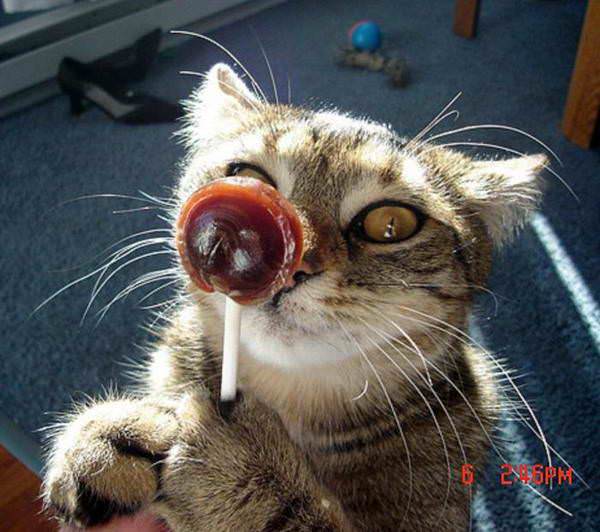 Lollipop Eater