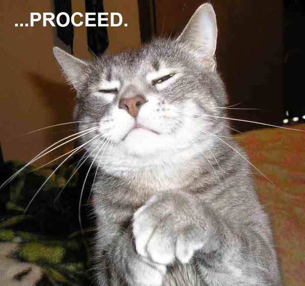 Proceed Cat