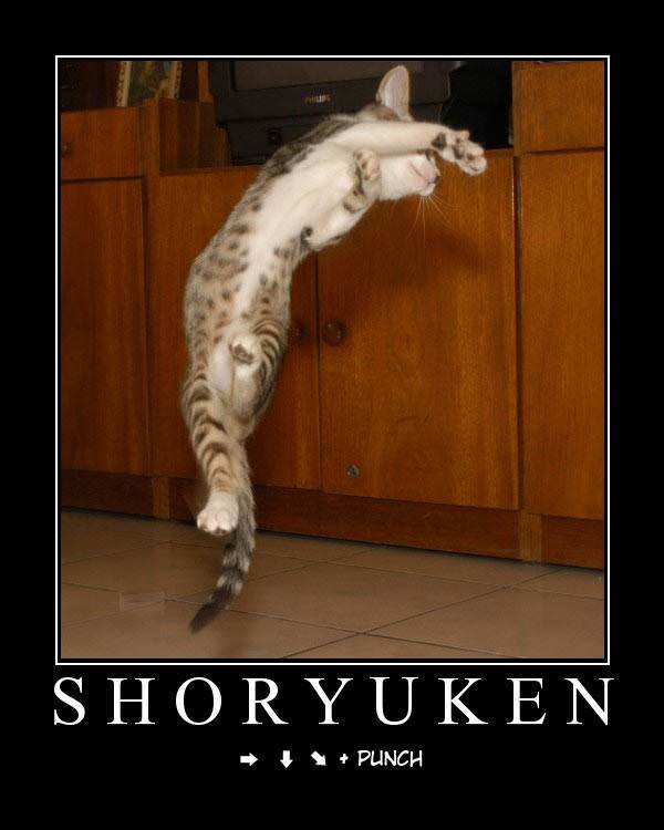 shotyuken