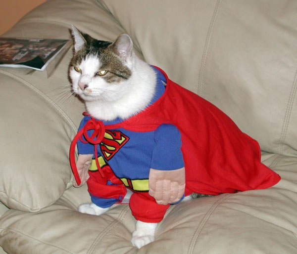 Super Cat