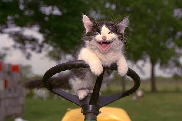 Tractor Kittah